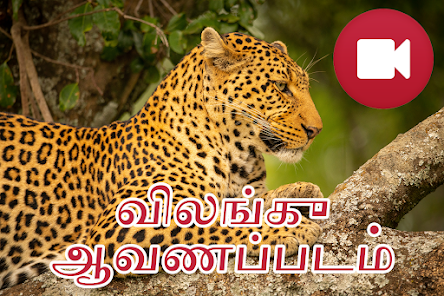 ஸ்கிரீன்ஷாட்டின் படம்