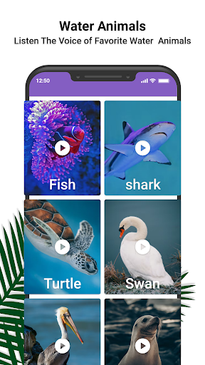 Animal Ringtones Animal Sound