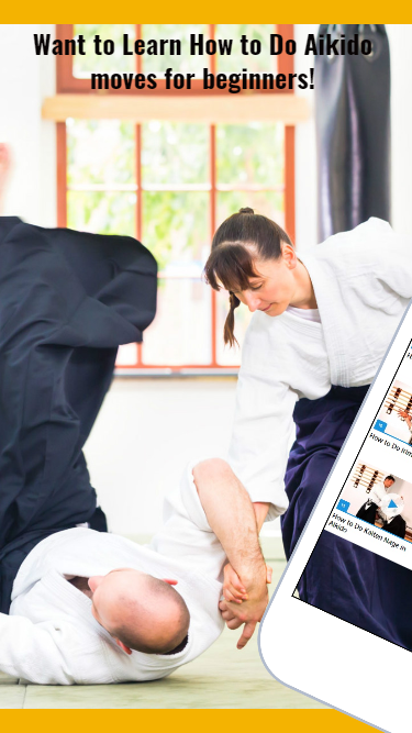 Aikido Guide - 1.0.0 - (Android)