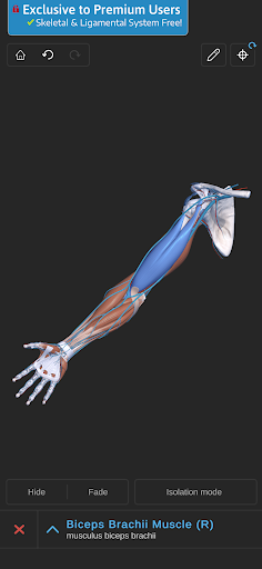 Screenshot of Visual Anatomy 3D - Human body