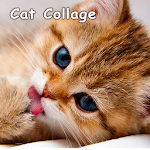Cover Image of Download Cat Collage Theme  APK