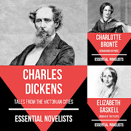 Obraz ikony: Essential Novelists