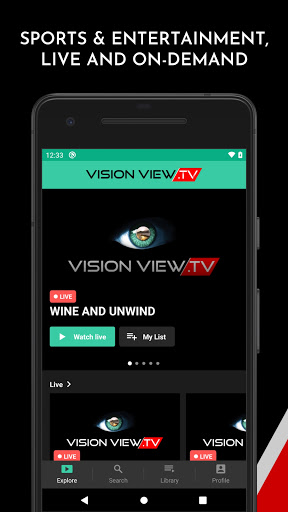 Vision View TV Screen 2