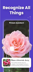 Nature AI – Ask AI Anything APK for Android Download 3