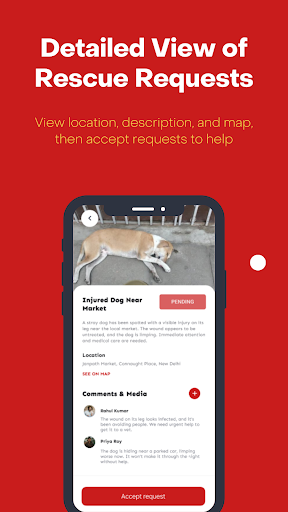 Strayz: Report, Rescue, Earn Screenshot 2 - AppWisp.com