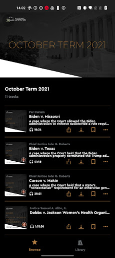 Audire Screen 2