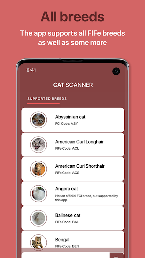 Cat Scanner: Breed Recognition-6