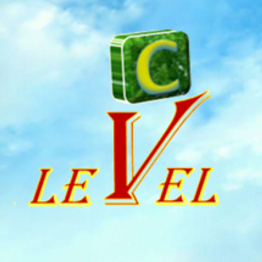 Meaning Test Level C logo