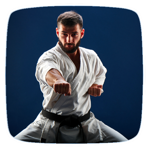 How to Do Karate Training logo