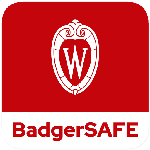 BadgerSAFE Download on Windows
