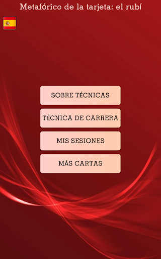 Vista previa de la aplicación