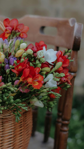 Freesia Wallpaper ekran görüntüsü