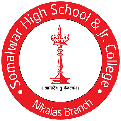 Somalwar econnect logo
