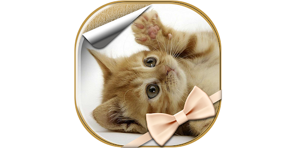 猫の壁紙無料 Google Play のアプリ