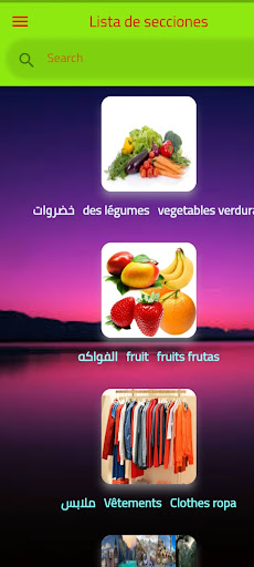 Aprende espanol facilmente voz