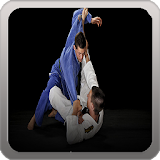 Brazilian Jiu-Jitsu (BJJ) icon