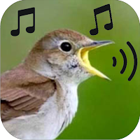 bird calls sounds ringtones