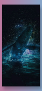 Cute Orca Whale Wallpaper HD
