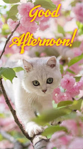 Good Afternoon Images 1 APK + Мод (Unlimited money) за Android
