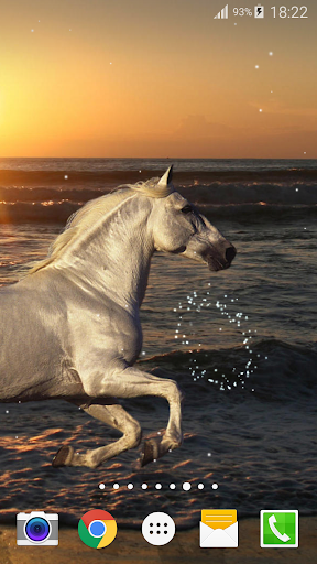Horse Live Wallpaper Screen 2
