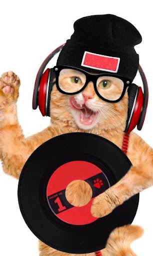 猫の着信音が鳴る By Drobva Ringtones Sounds Google Play Japan Searchman App Data Information