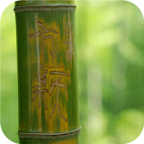 Bamboo. Green wallpapers icon