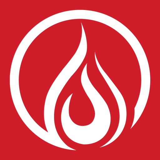 PROBE TEMP logo
