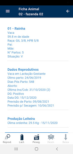Semper Leite Screen 3