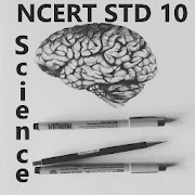 Standard 10 Science Diagram Stepwise