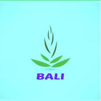 Bali hotel booking travel deal