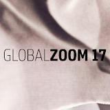 GLOBAL ZOOM 17 icon