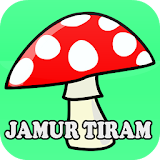 Panduan Budidaya Jamur Tiram icon