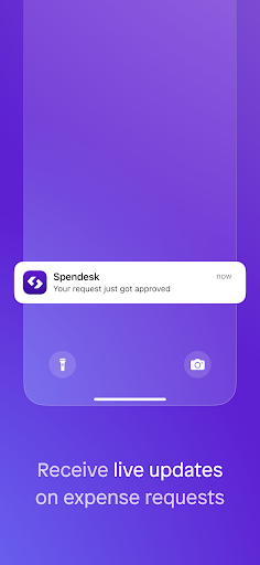 Screenshot of Spendesk