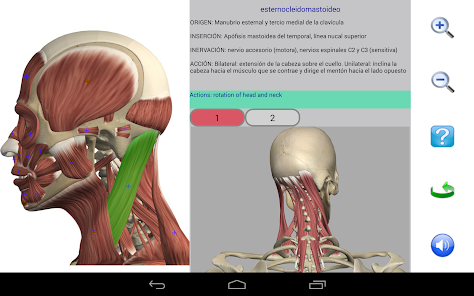 Screenshot 10 Visual Anatomy 2 android