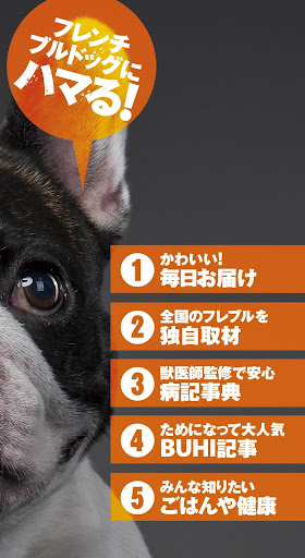 French Bulldog Life【フレンチブルドッグラ Screen 2