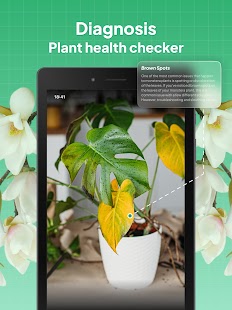 LeafSnap Plant Identification Screenshot