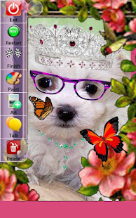 Pretty Dogs(圖4)-速報App