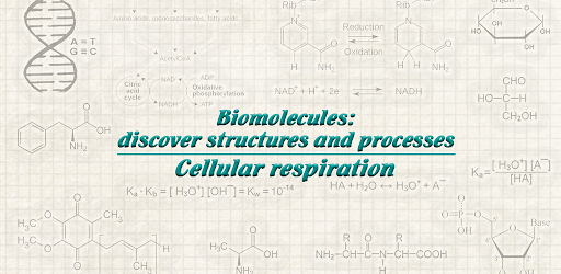 Biomolecules: Cell respiration