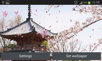 Sakura Garden Live Wallpaper