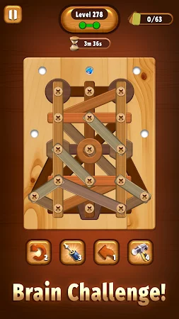 Game screenshot Screw Wood Puzzle - Nuts Bolts apk download