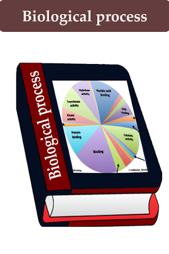 Biological processes Screen 3