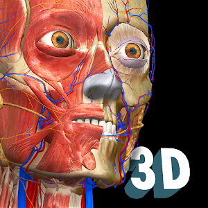  Anatomy Learning 3D Anatomy Atlas 2.1.322 by AnatomyLearning LLC logo