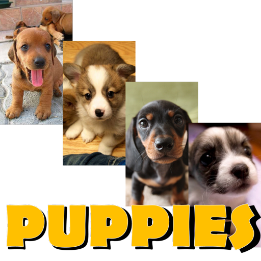 Puppy Wallpaper FHD logo