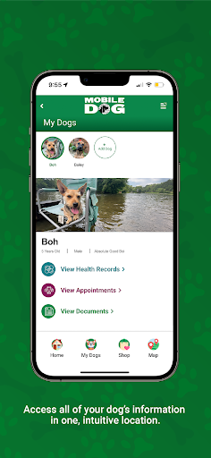 Mobile Dog Screen 2