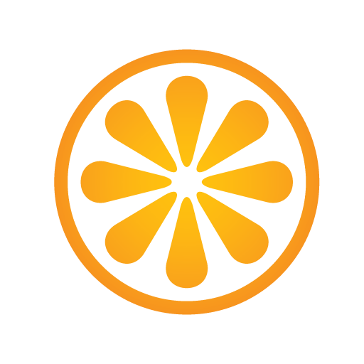 VisitBasis for retail audit Windowsでダウンロード
