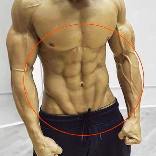Fitness. Rutinas y ejercicios logo