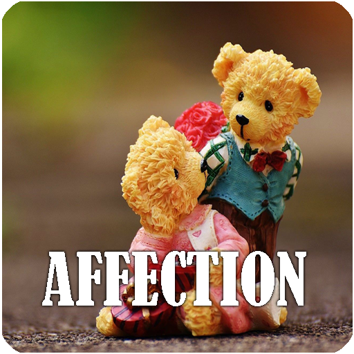 Affection and love quotes  Icon