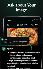 Ask GPT-4: AI Voice Chatbot screenshot