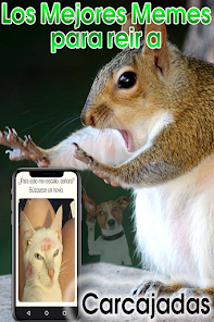 Captura de Pantalla 5 Animales Graciosos Gratis android