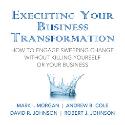 Icon image Executing Your Business Transformation: How to Engage Sweeping Change Without Killing Yourself Or Your Business